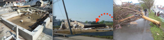 At left, the Tsukuba tornado swept a small home completely away. At center, the mat foundation of a destroyed home was uprooted from the ground by the tornado's powerful updraft. At right, a tree was debarked - a damage feature rarely seen outside the United States.