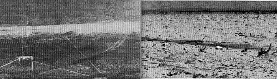The Bakersfield Valley event occurred in an area unaccustomed to violent tornadoes. At left, aerial view of the streak of severe ground scouring. At right, ground view of the disturbed earth vacant of all vegetation. (Image from Storm Data, June 1990).