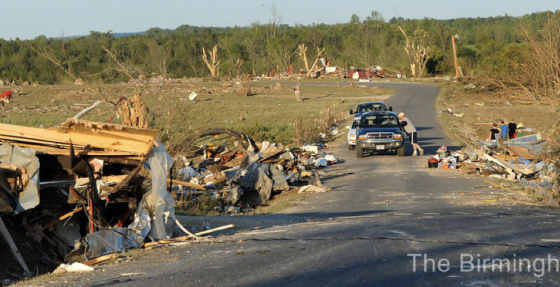 Debarked trees and partially scoured vegetation highlight the tornado's path through a rural area northeast of Rainsville. (The Birmingham News)