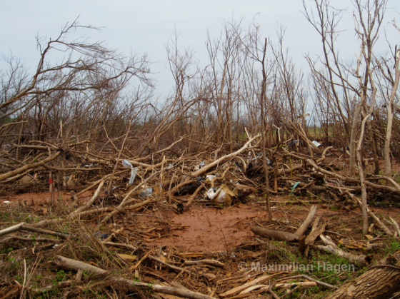 A forested area just east of County Edge Drive was stripped bare by winds of EF5 intensity.