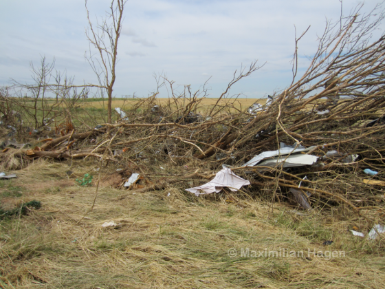 Tree damage just south of the I-40 near the OKC West Livestock complex.